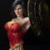 BUST WONDER WOMAN FAN ART